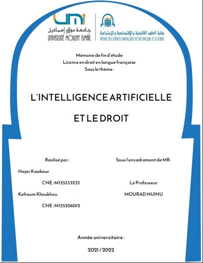 Pfe sur l'intelligence artificielle et le droit