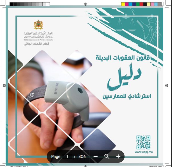 قانون العقوبات البديلة دليل استرشادي للممارسين