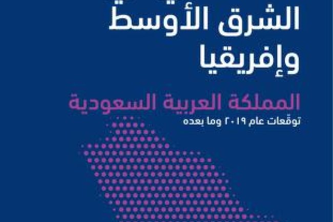 كتاب الذكاء الاصطناعي⁩ في الشرق الأوسط وأفريقيا